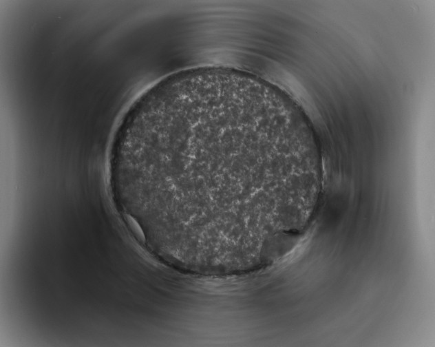 X0000094230780200711161908