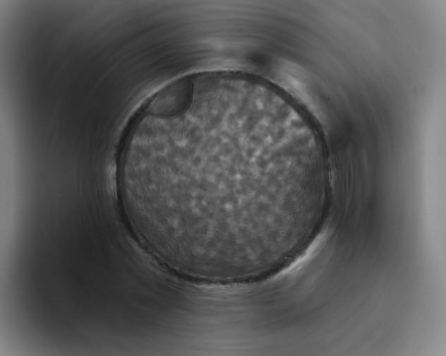 X0000094230781200711161908