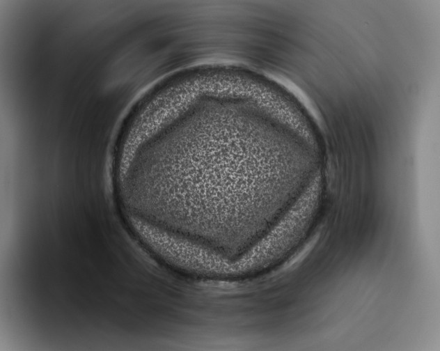 X0000094230783200711161908