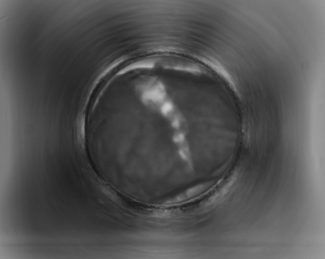 X0000094230790200711161908