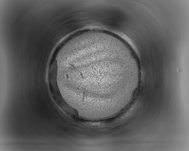 X0000094230791200711161908