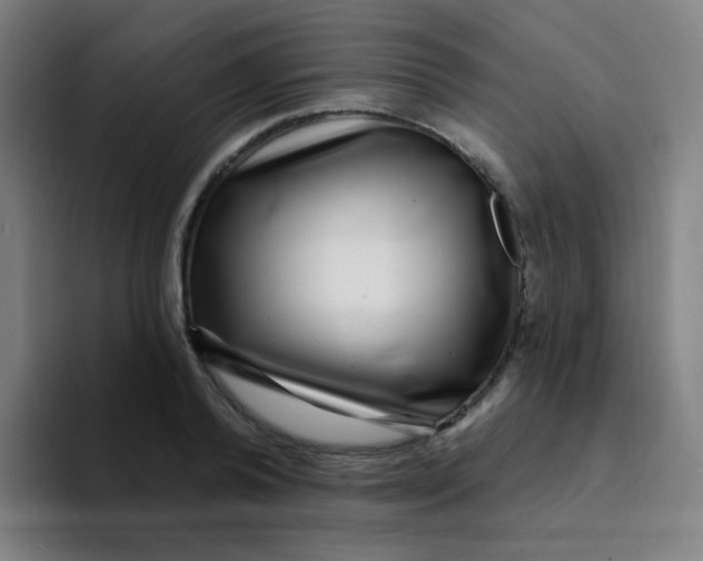 X0000094230792200711161908