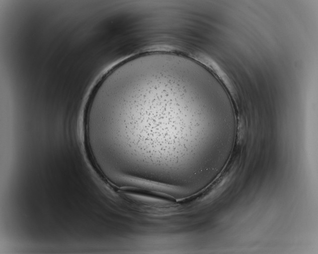 X0000094230795200711161908