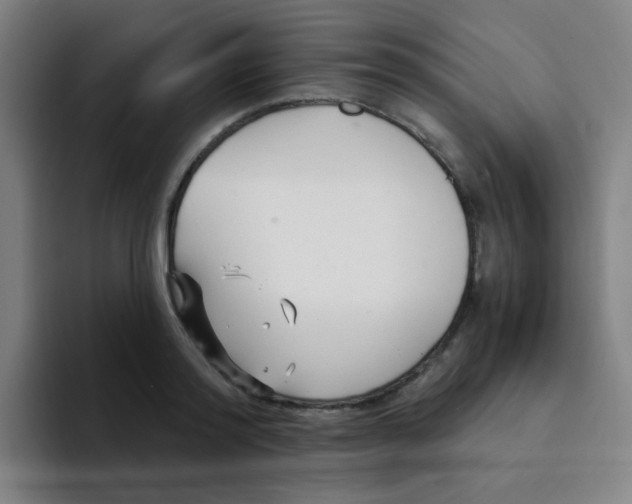 X0000094230796200711161908