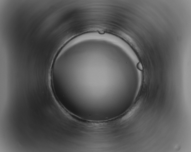 X0000094230802200711161908