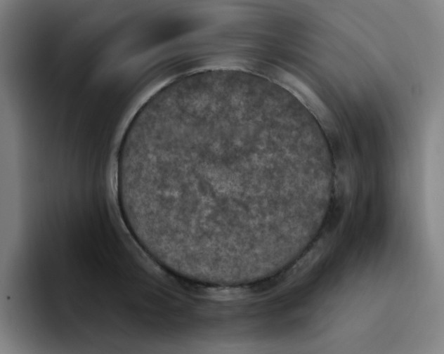 X0000094230804200711161908