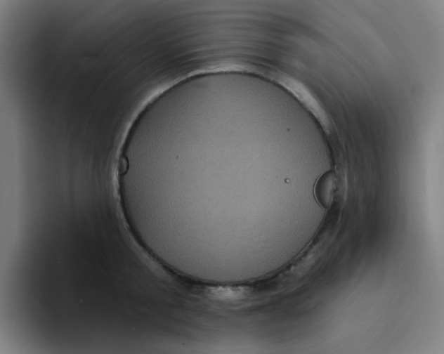 X0000094230805200711161908