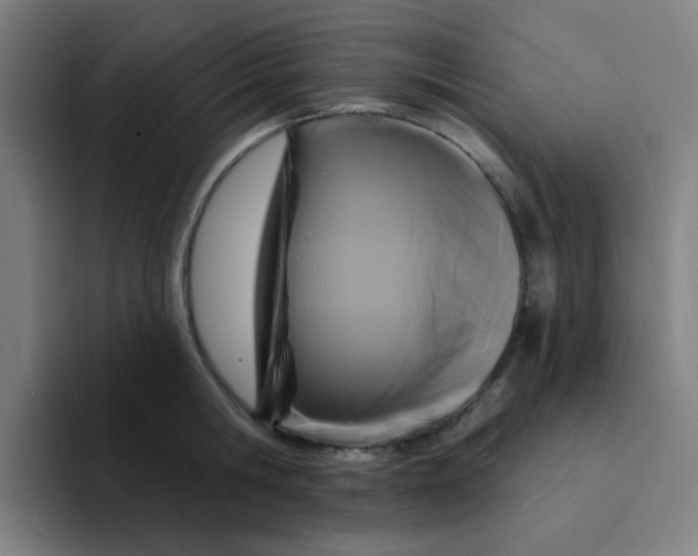 X0000094230806200711161908