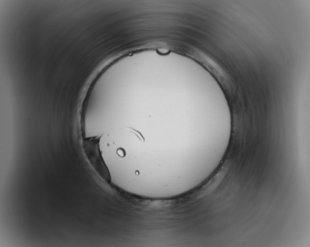 X0000094230808200711161908