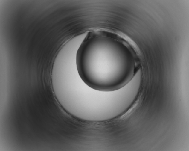 X0000094230809200711161908