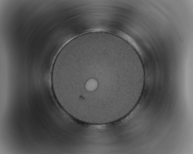 X0000094230810200711161908