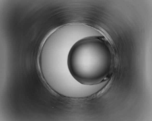 X0000094230812200711161908