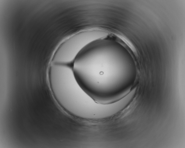 X0000094230813200711161908