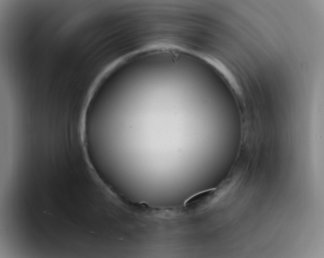 X0000094230815200711161908