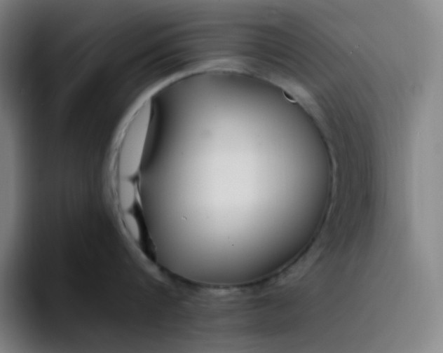 X0000094230816200711161908