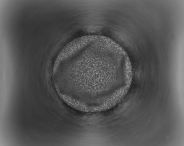 X0000094230817200711161907