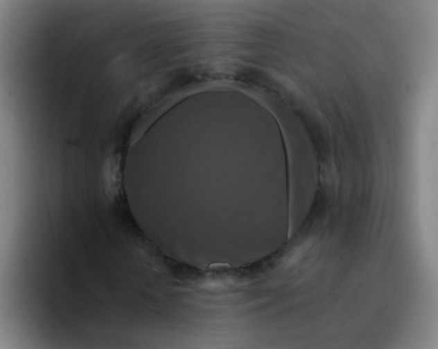 X0000094230818200711161907