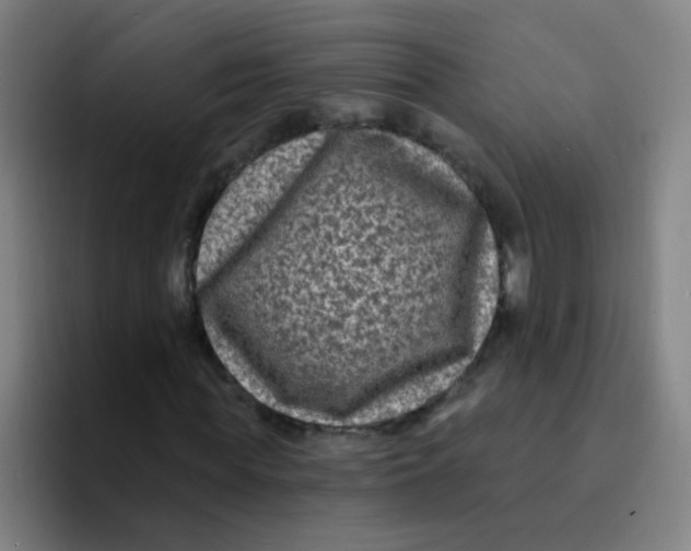 X0000094230819200711161907