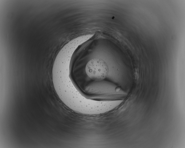 X0000094230820200711161907