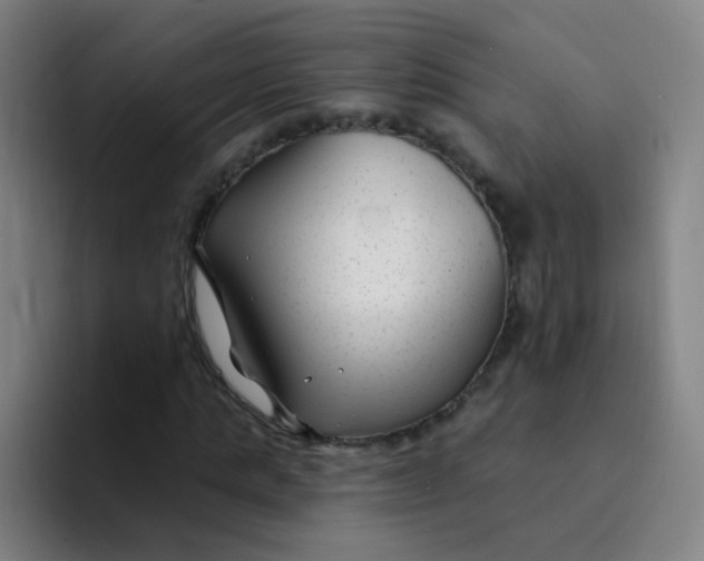 X0000094230821200711161907