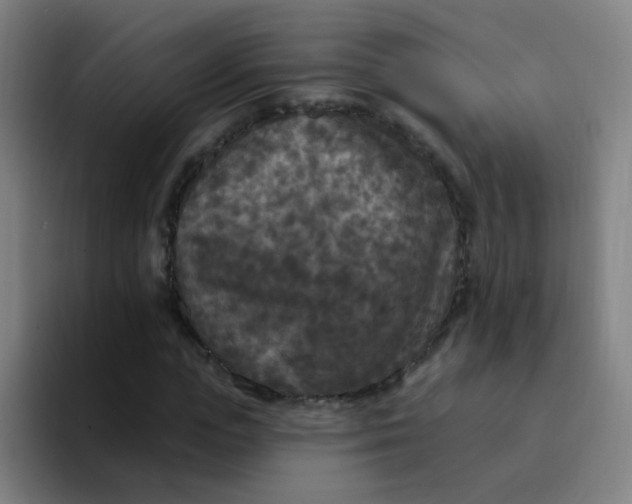 X0000094230823200711161907