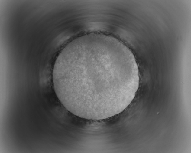 X0000094230824200711161907