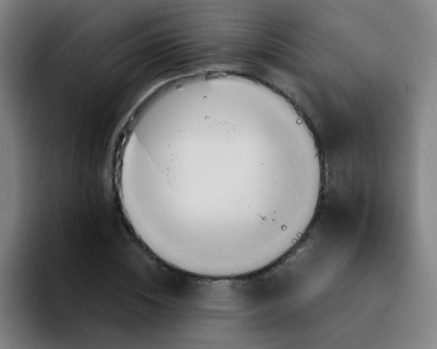 X0000094230828200711161907