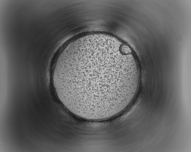 X0000094230829200711161907