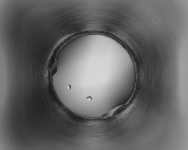 X0000094230830200711161907