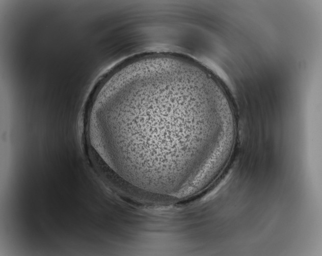 X0000094230831200711161907