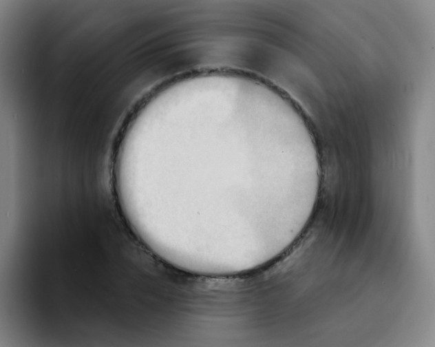 X0000094230832200711161907