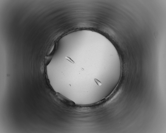 X0000094230833200711161907