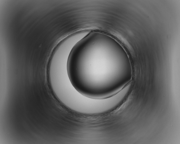 X0000094230834200711161907