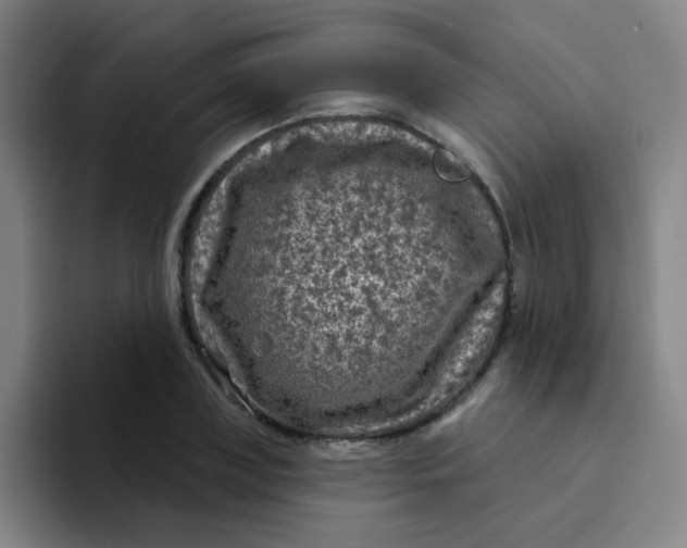 X0000094230835200711161907