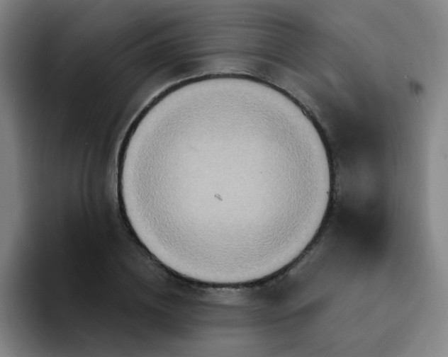 X0000094230836200711161907