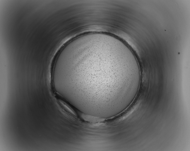 X0000094230837200711161907