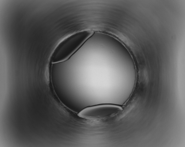 X0000094230838200711161907