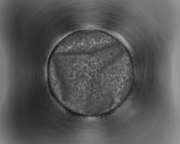 X0000094230839200711161908