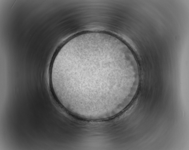 X0000094230840200711161908