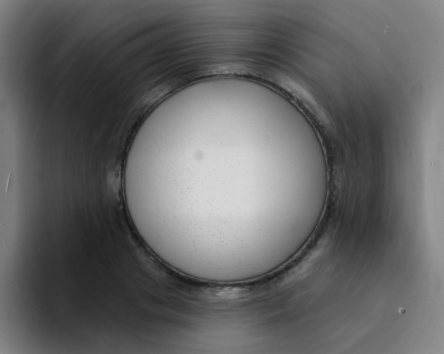 X0000094230841200711161908