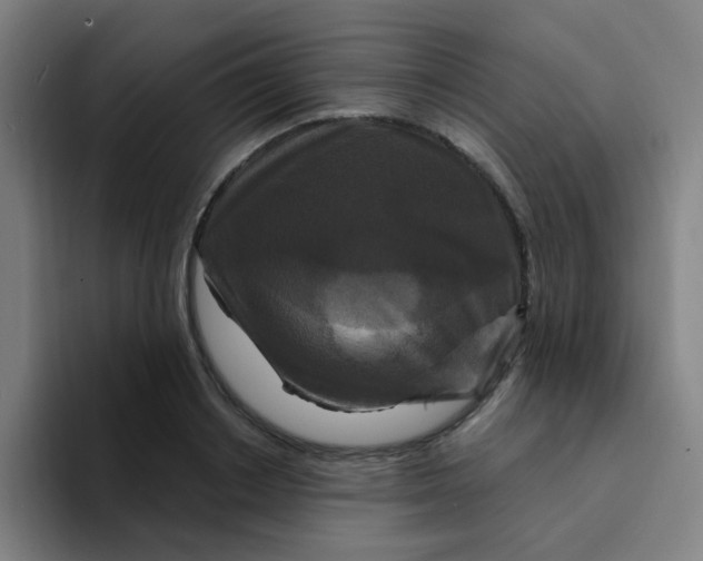 X0000094230842200711161908