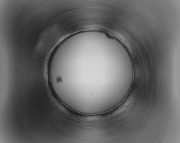 X0000094230843200711161908