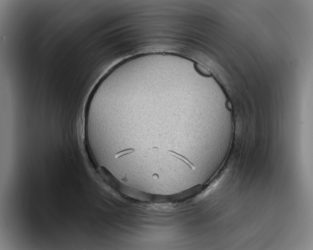 X0000094230844200711161908