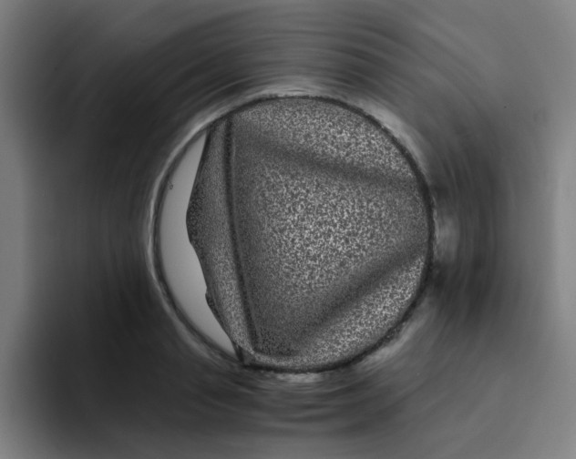 X0000094230845200711161908