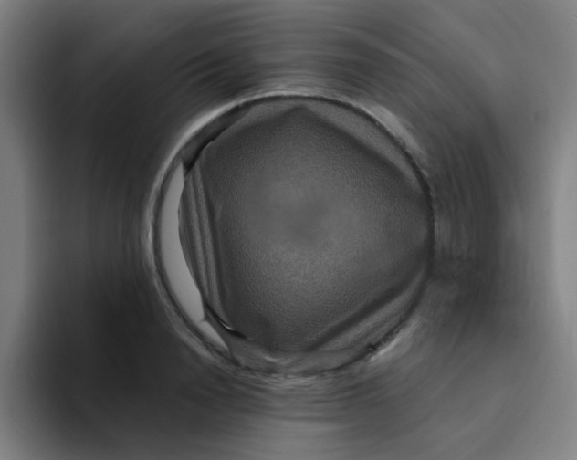 X0000094230846200711161908