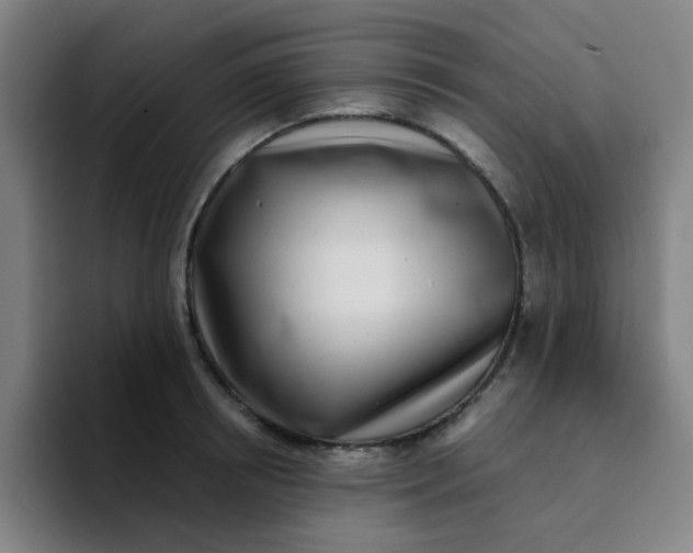 X0000094230850200711161908