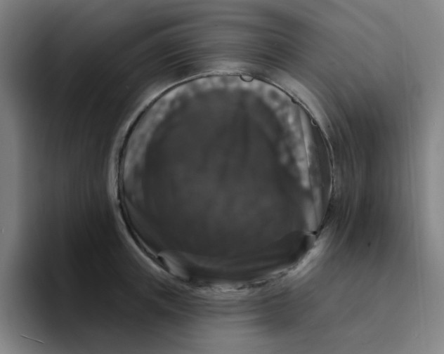 X0000094230851200711161908