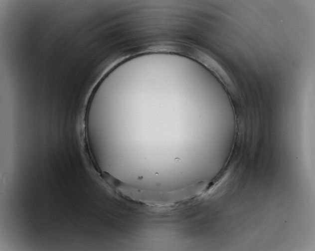 X0000094230852200711161908