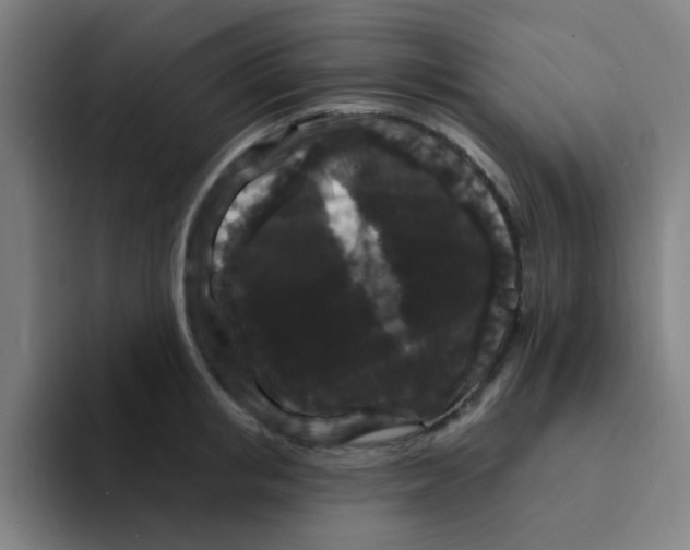 X0000094230853200711161908