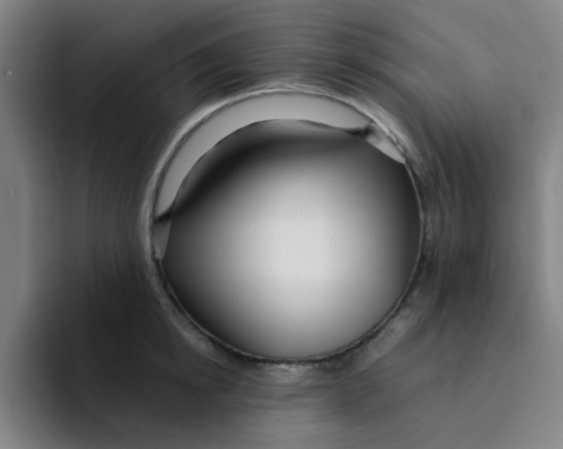 X0000094230854200711161908